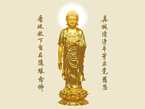 南無阿彌陀佛吃素懺悔戒殺放生念南無阿彌陀佛- 請大家多幫幫[ 觀音的家