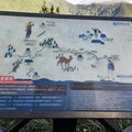 武林農場賞楓