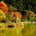 秋天的明池