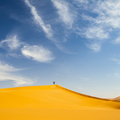 這是我覺得最美的沙漠
背著重重的攝影器材
每走一步都不容易