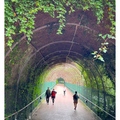 公園內
橫跨在國道三號上方的綠色隧道