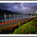 颱風天
偌大的池畔遊人屈指可數
沿著步道踽踽而行
風雨中的景致 格外詩意