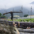 台灣農事影像紀錄