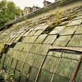 http://www.messynessychic.com/2015/01/15/a-compendium-of-abandoned-greenhouses/