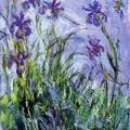 Claude Monet, Iris viola, 1914