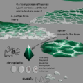 http://drawingden.tumblr.com/post/168774007118/water-tutorial-by-polychaete