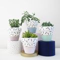 DIY plant pots