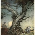 The trees of Arthur Rackham