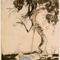 The trees of Arthur Rackham