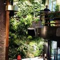 https://urbanjungle.tumblr.com/post/162940824080/plantinghuman-grand-cafe-eindhoven-i-literally
https://urbanjungle.tumblr.com/archive