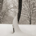 https://gacougnol.tumblr.com/post/189211445234/dede-reed-snow-tree-central-park-new-york-city
https://gacougnol.tumblr.com/archive