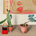 http://youcannottakeitwithyou.tumblr.com/post/171494063035/cactus-in-art-rudolf-wacker-austrian-1893