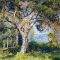 https://julian-onderdonk.tumblr.com/post/184758398027/guy-rose-the-oak-1916-guy-rose
https://julian-onderdonk.tumblr.com/archive