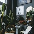 https://magicalhomestead.tumblr.com/post/181838483302/dark-takes-on-boho-filled-with-plants-design