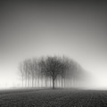 Me and the others, 2019 - by Pierre Pellegrini (1968), Swiss