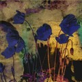 Odilon Redon (1840-1916) - Blue Poppies
