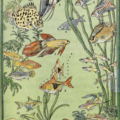 https://nemfrog.tumblr.com/post/174896965887/nemfrog-tropical-fish-the-pet-club-1937
https://nemfrog.tumblr.com/archive