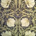 floral print 威廉·莫里斯（William Morris, 18's）