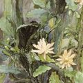 Flowering Phollocactus   -   Anna Syberg ,1903.  Danish,1870-1914.