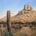 “West Texas tumble weed and barbed wire”, 2010 by Norman Engel