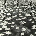 
Three Worlds (Drie Werelden) - M.C. Escher , 1955
Dutch, 1898-1972 / lithograph, on wove paper 


https://www.tumblr.com/tagged/m.c.escher