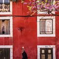 Largo das Portas do Sol, Lisbon, Portugal via Lisa Pires on Pinterest.