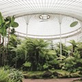  The Kibble Palace, Glasgow Botanic Gardens, Glasgow UK