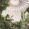 Tropical Display Dome, Brisbane Botanic Garden, Mount Coot-tha, Queensland, Australia