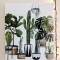 http://successfulsucculents.tumblr.com/post/173649054118/my-beautiful-new-wall-canvas-im-in-love-with

http://successfulsucculents.tumblr.com/archive