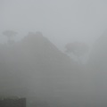 雨還在下....整座山都被雲包圍著.
想著,當年的印加人到底是怎麼過的啊?
11月開始已經是秘魯的夏天了,
我12月來,可氣溫卻只有11度,
在海拔2750公尺的高山,11度真的很冷很冷.