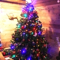 2013 聖誕樹集合！