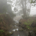 大山背絕景