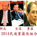 2014民進黨最佳