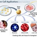 ＊幹細胞照片0015
