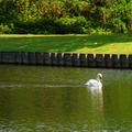 米德爾頓居處莊園02