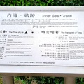 《台南》台江國家公園 - 11