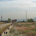 南韓│天空公園 - 104