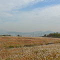 南韓│天空公園 - 106
