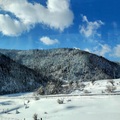 《雲南-香格里拉3-2》普達措國家公園~3625米 - 15