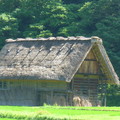 日本-北陸│白川鄉合掌村 - 16