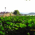 2012.08.26 杭州西湖