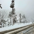 《雲南-香格里拉1-5》大雪紛飛中白馬雪山前進梅里雪山 - 38