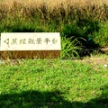 《台南-白河》斗笠公園 - 18