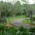 2016.04.06新加坡│植物園