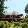 日本-東京│花園稻荷神社+巧遇日本天皇+月之松