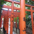 日本-東京│花園稻荷神社+巧遇日本天皇+月之松