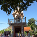 泰國-大城│崖差蒙空寺 Wat Yai Chaimongkhon - 71