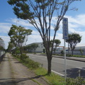 仙台機場路