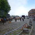 富士山五合目