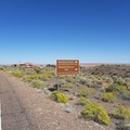 美國66公路單車-亞利桑那州.石化森林國家公園